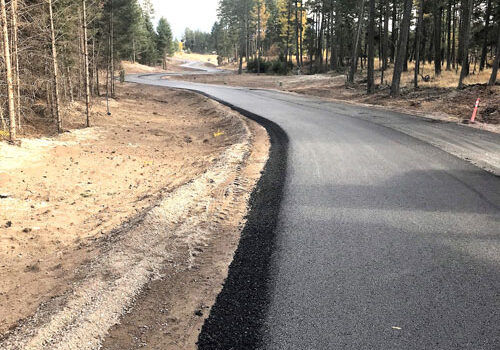 A road is being paved in the middle of a forest.